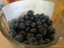 Hortblue Petite borůvka