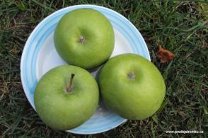 Jabloň Granny Smith (podnož M26)