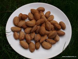 Mandloň Vama (podnož mandloňový semenáč, kontejner)