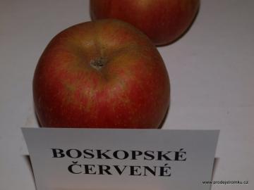 Boskoopské červené   -  Roter Boscoop