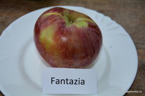 Jabloň Fantazia (podnož P14)