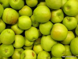 Jabloň Golden Delicious (podnož M7, kontejner)