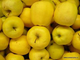 Jabloň Golden Delicious (podnož M9, kontejner)