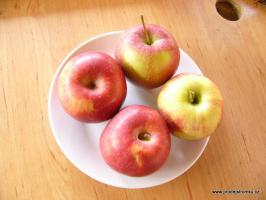 Jabloň sloupová Rondo (podnož M26)