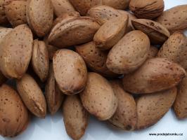 Mandloň Robinj (podnož Adesoto, kontejner)