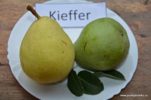 Kieffer hrušeň podnož Kdoule kontejner