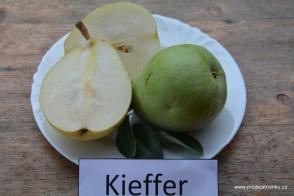 Kieffer hrušeň podnož Kdoule kontejner