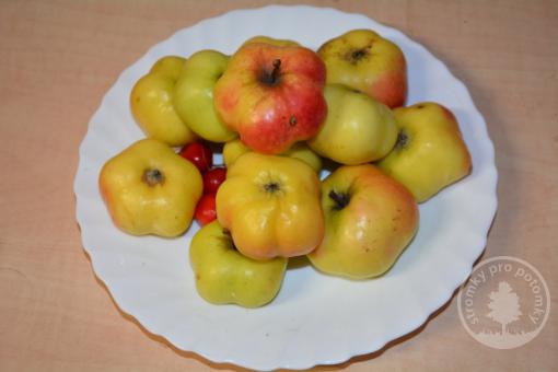 Jabloň Api (podnož MM106, kontejner)
