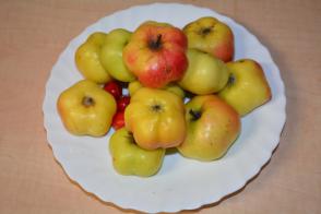 Jabloň Api (podnož MM106, kontejner)