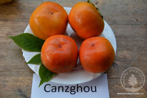 Kaki Cangzhou