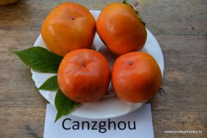 Kaki Cangzhou